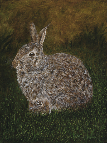 Feeding Time by Colette Douglas