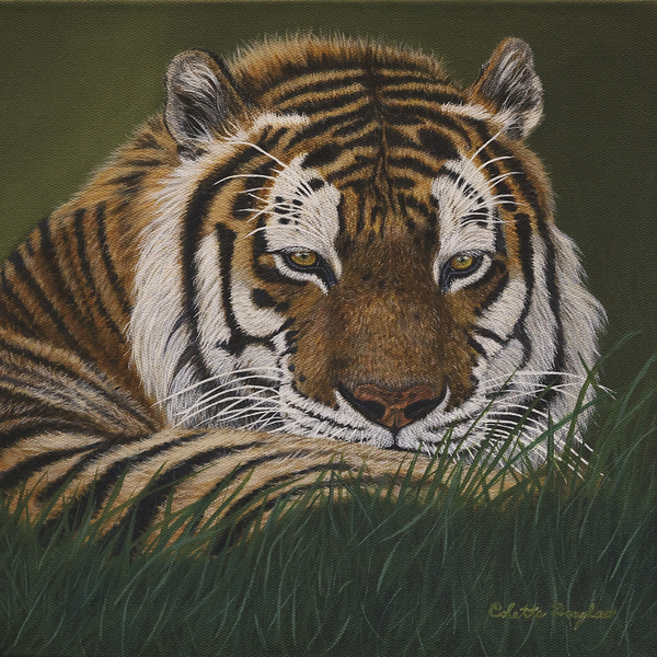 Rear View by Colette Douglas