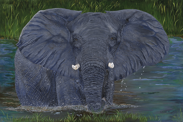 Cool Down by Colette Douglas