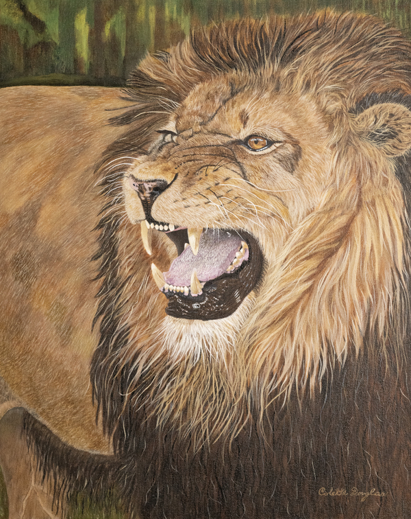 Attitude by Colette Douglas