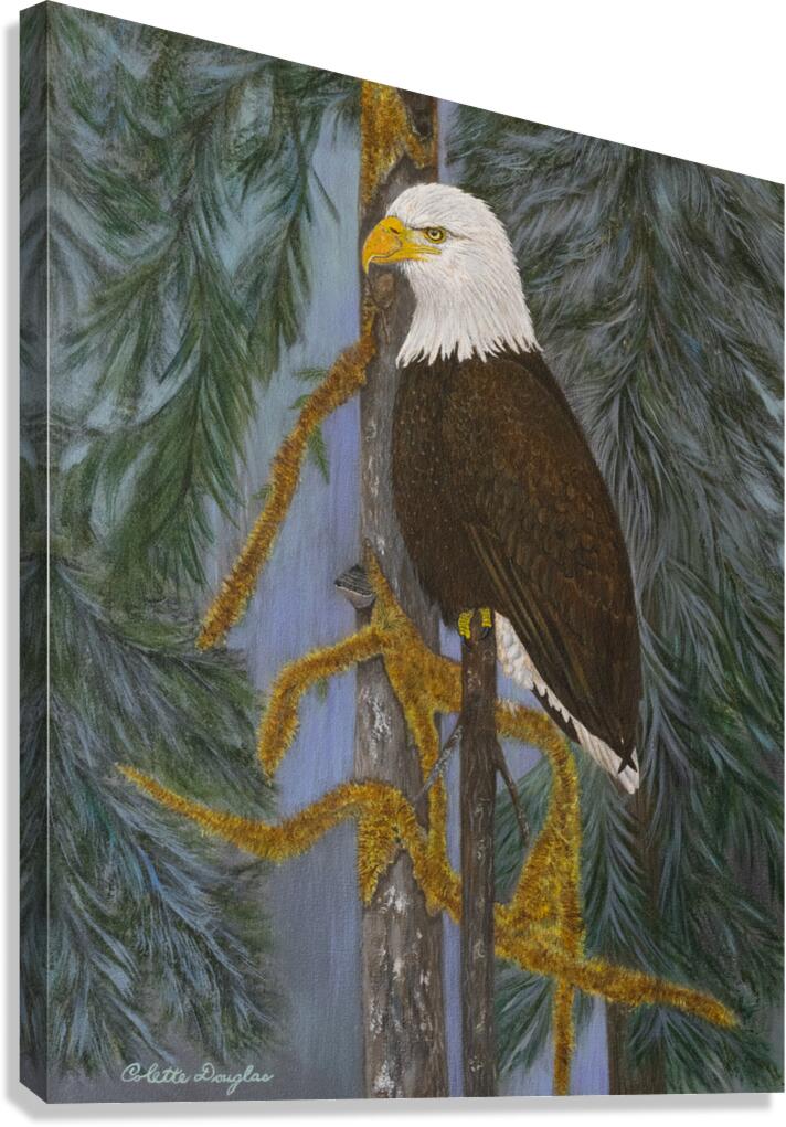 Perfect Perch Canvas Print