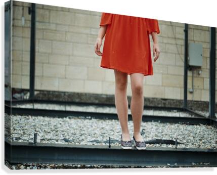 Color pause Canvas Print