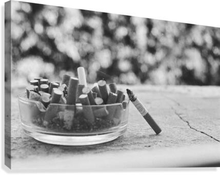 Smoking break Canvas Print