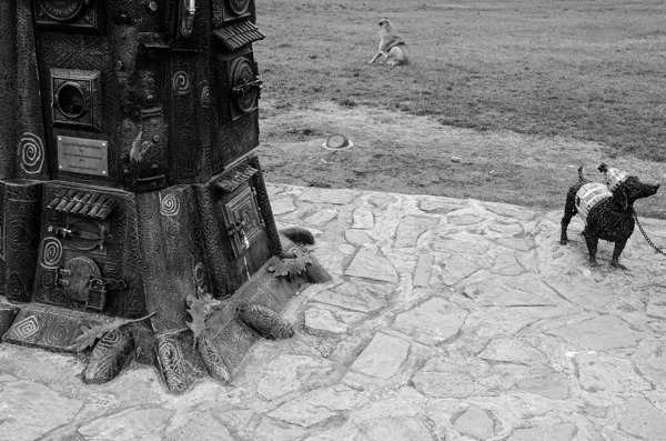 Not a Real Dog by Eddie Ferr