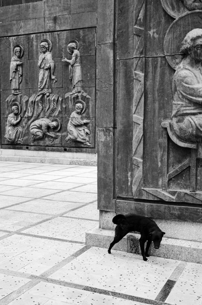 Dog Peeing by Eddie Ferr