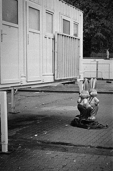 Rabbits by Eddie Ferr