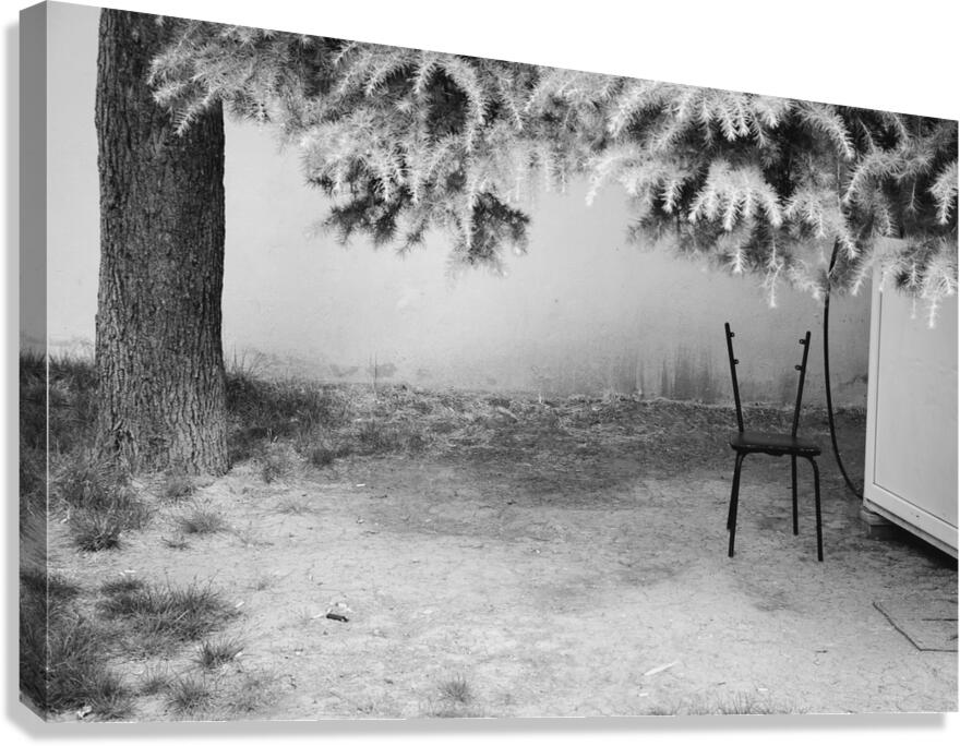 Chair Canvas Print