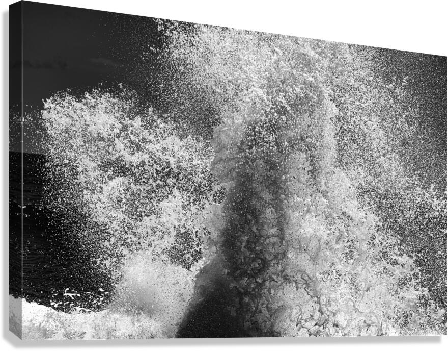 Zeus Canvas Print