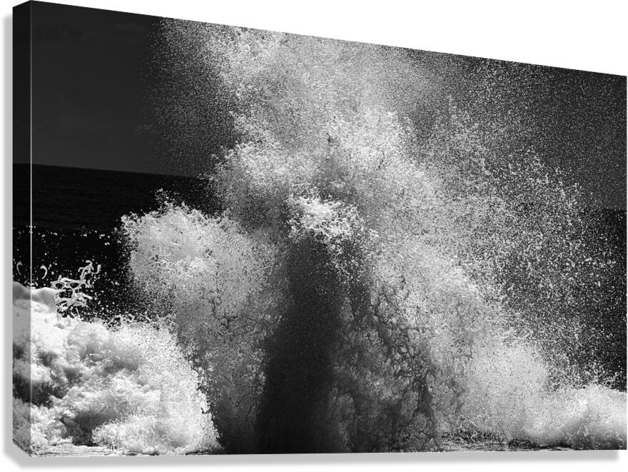 Poseidon Canvas Print