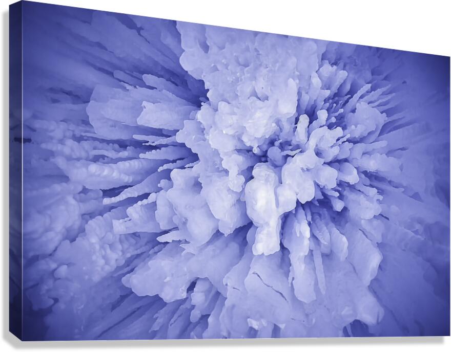 Icycles Canvas Print