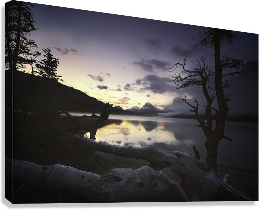 Bow Lake Canvas Print