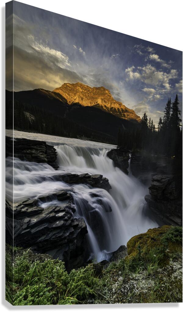 Athabasca falls Canvas Print