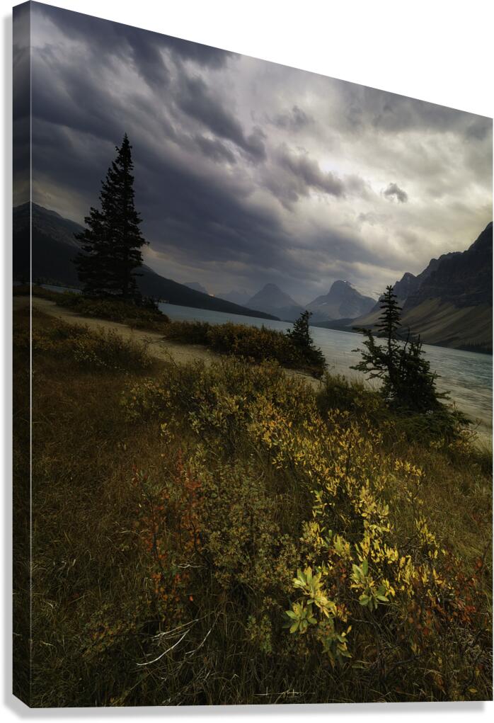 Bow Lake 9 Canvas Print