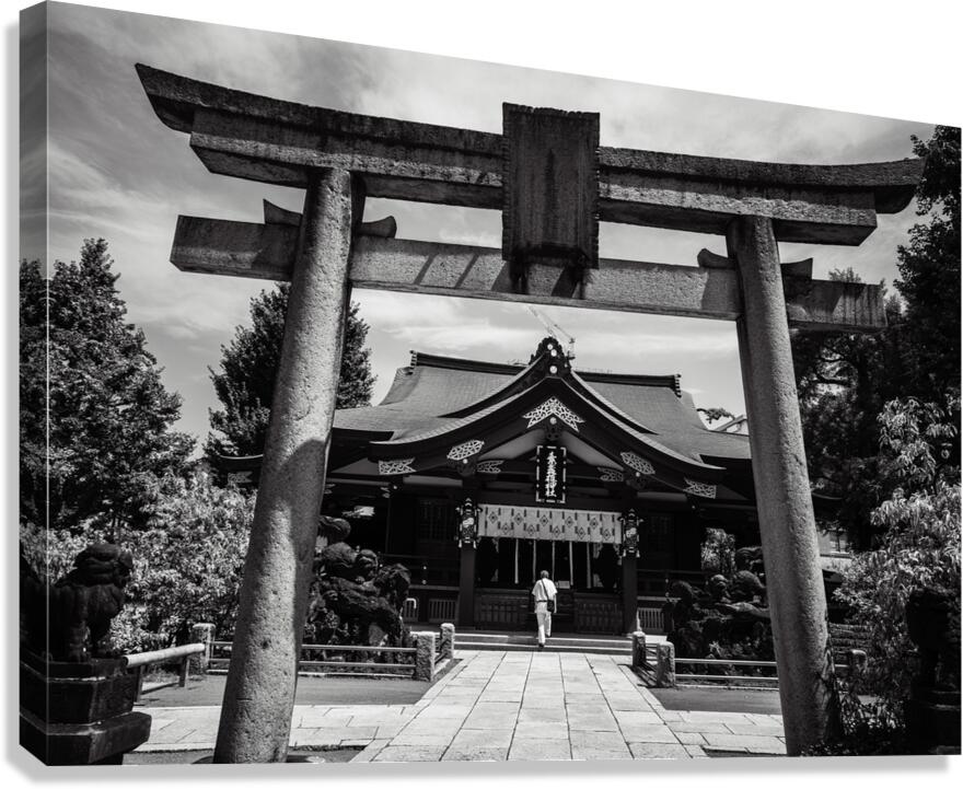 Temple Canvas Print
