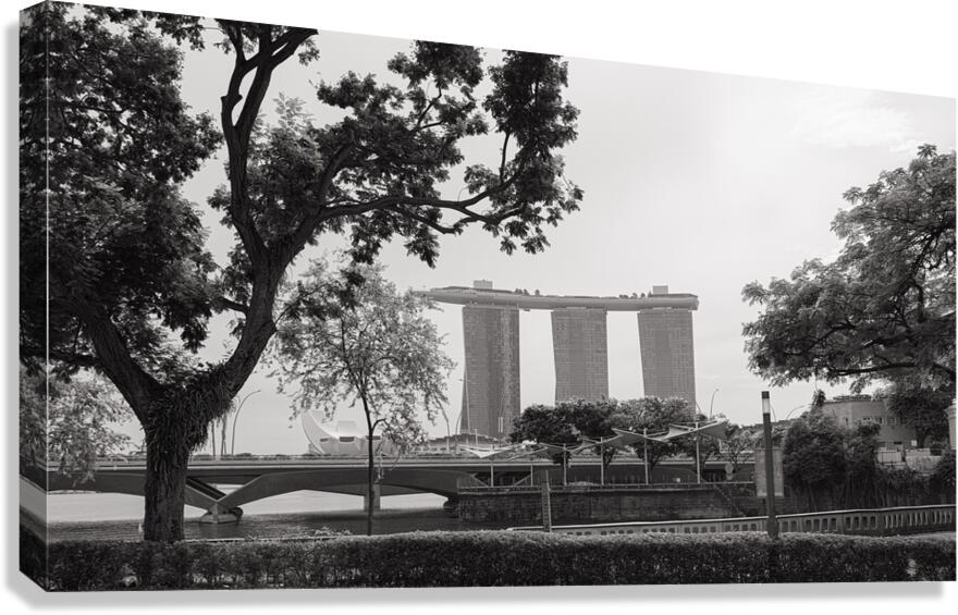 MBS BW Canvas Print