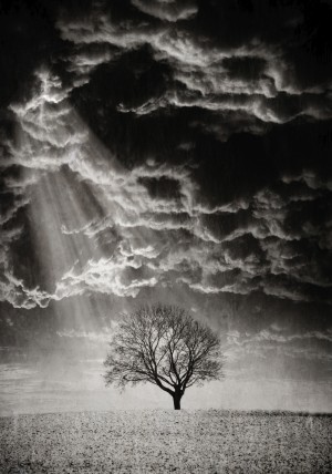 Light Hope