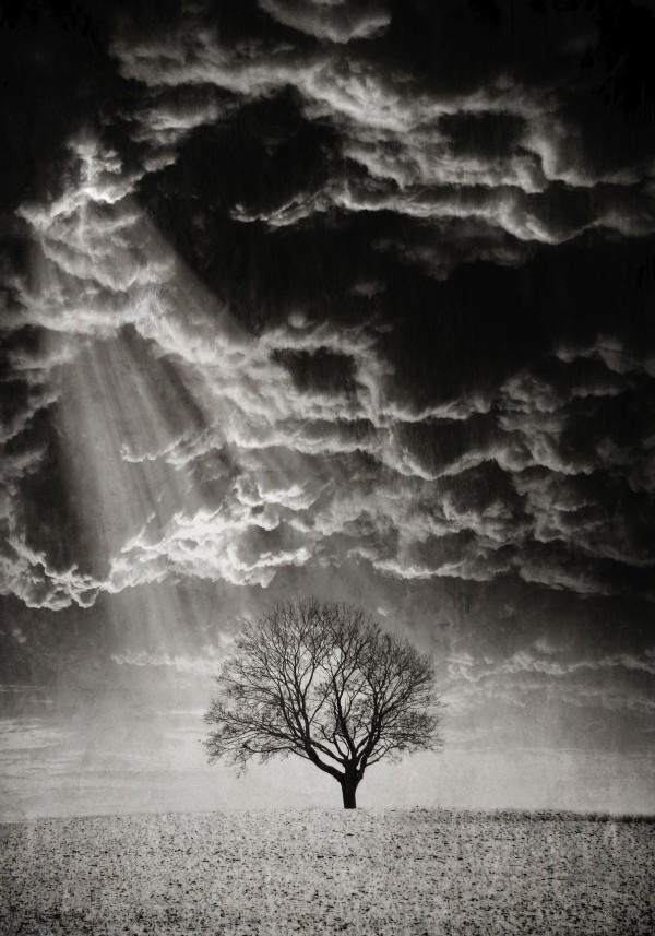 Light Hope Print