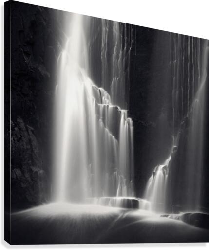 Shadow Canvas Print
