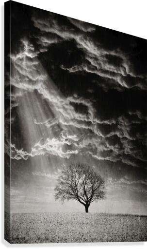 Light Hope Canvas Print