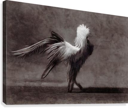 Ceahless Canvas Print