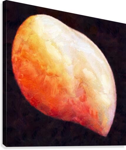 The Mango Canvas Print
