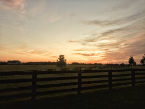 Serene Sunrise