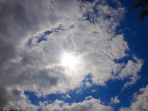 Hidden Sunshine
