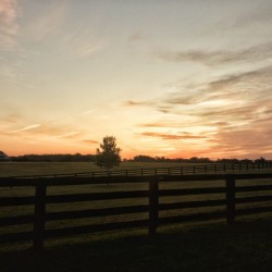 Serene Sunrise