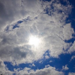 Hidden Sunshine