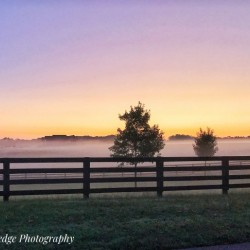 Sunrise in Horse Country