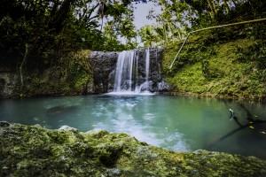 _MG_6823 by Audie Alexander