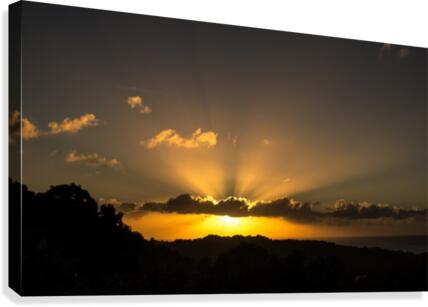 Yellow Skies Canvas Print