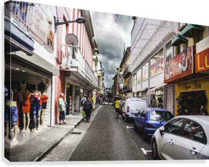 IMG_4610 Canvas Print