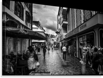 IMG_4616 Canvas Print