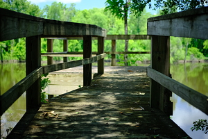 Oxbow Lake 2 - LA