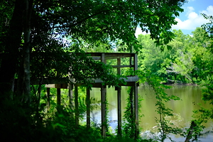 Oxbow Lake - LA