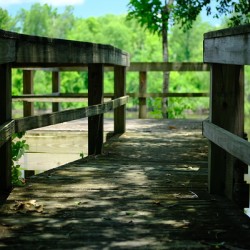 Oxbow Lake 2 - LA