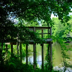 Oxbow Lake - LA