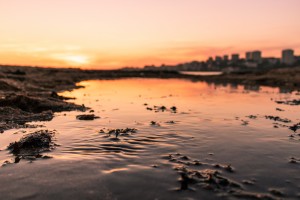 IMG_6296