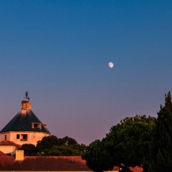 IMG_6040
