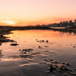 IMG_6296