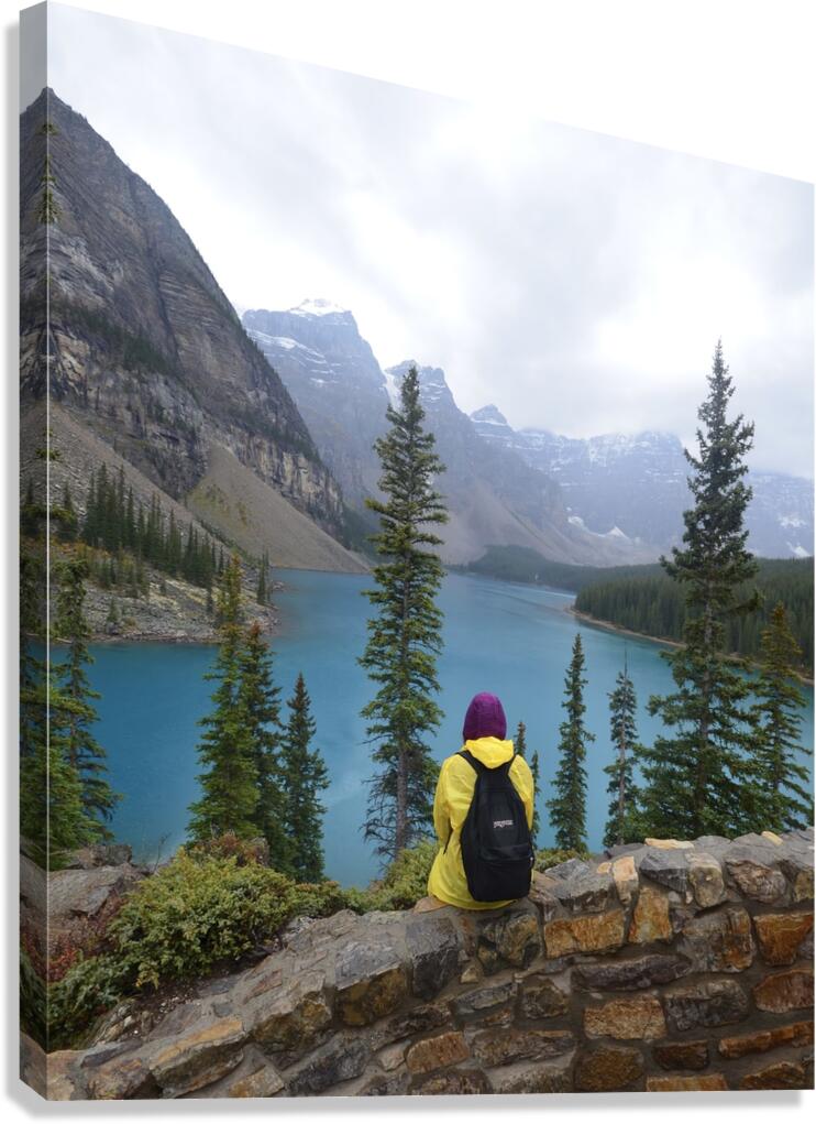 The Solitude Canvas Print