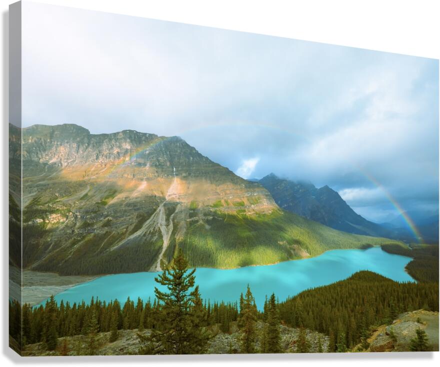 The Gem Canvas Print