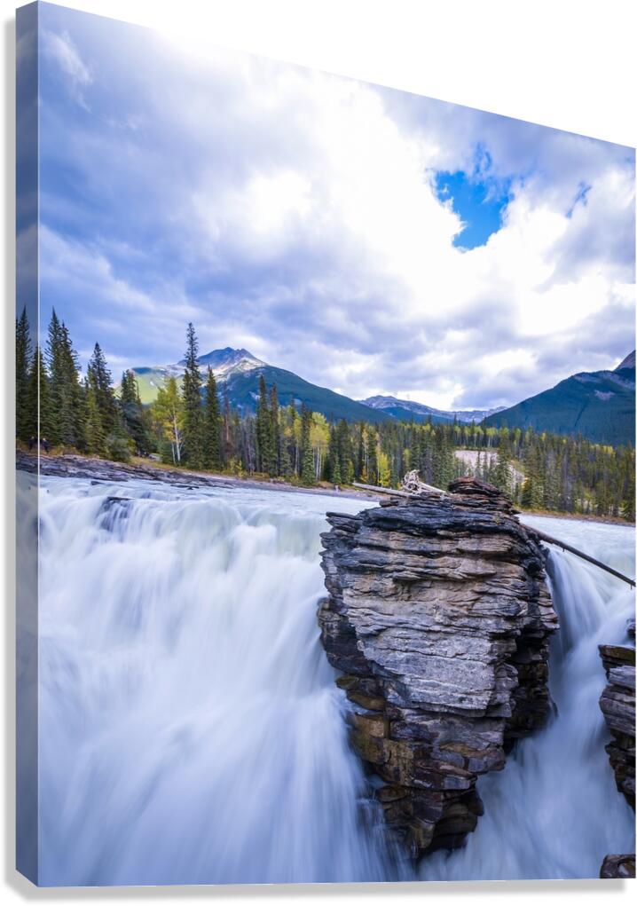 The Force Canvas Print