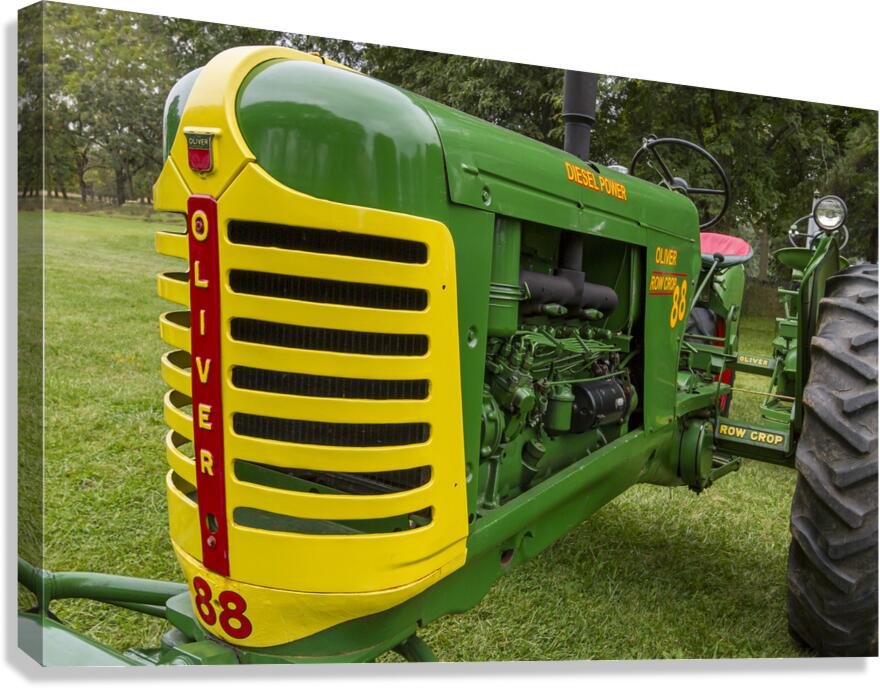 Oliver 88 4803 Canvas Print