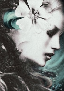Winter Dreamer