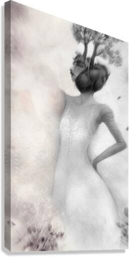 Death [ Winter]  Canvas Print
