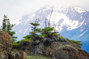Alaska Scenery Pictures - Cliffs and Mountains