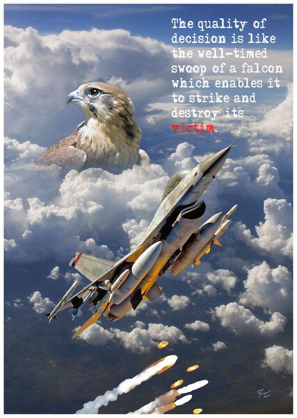 Falcon Print