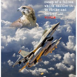 Falcon
